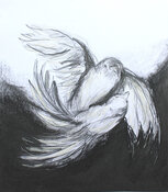 Zeichnung<br/>
Grafitzeichnung auf Papier 54 x 48 cm cm<br/>
350,00 €<br/>
