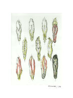 Malerei<br/>
Zeichnung<br/>
180 €<br/>