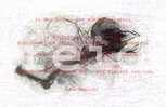 Zeichnung<br/>
Manueller Druck<br/>
Computergrafik<br/>
600 €<br/>